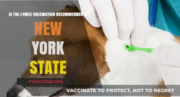 Is Lyme Vaccination Recommended in New York State? Expert Insights