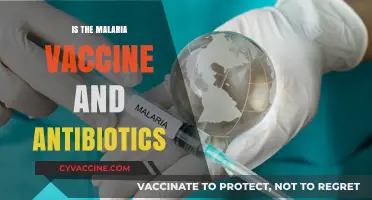 Combating Malaria: The Power of Vaccines and Antibiotics