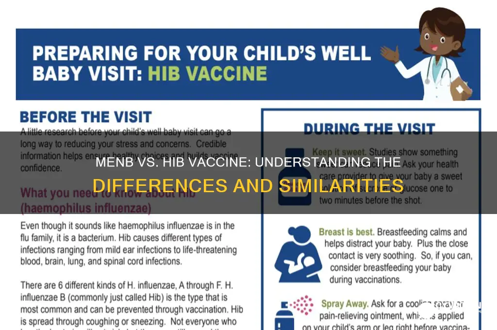 is the menb vaccine the same as the hib vaccine