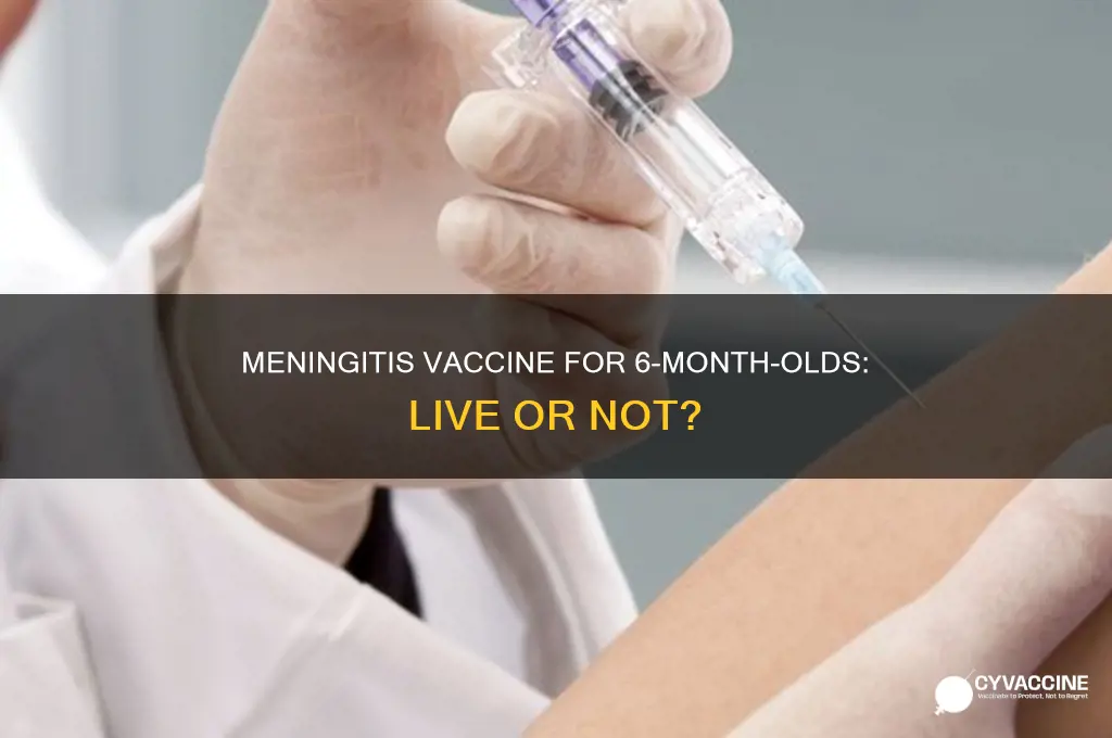 is the menengitis vaccine live for 6 months olds