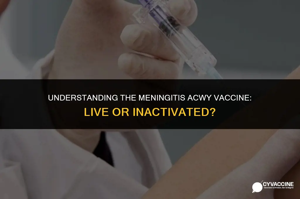 is the meningitis acwy vaccine live