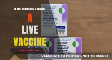 Is Meningitis B Vaccine Live? Understanding Its Composition and Safety