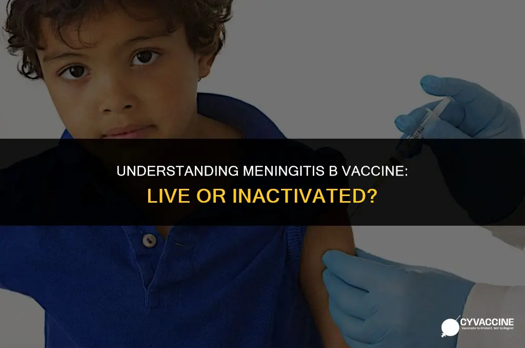 is the meningitis b vaccine live