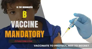 Understanding Meningitis B Vaccine Requirements: Is It Mandatory?