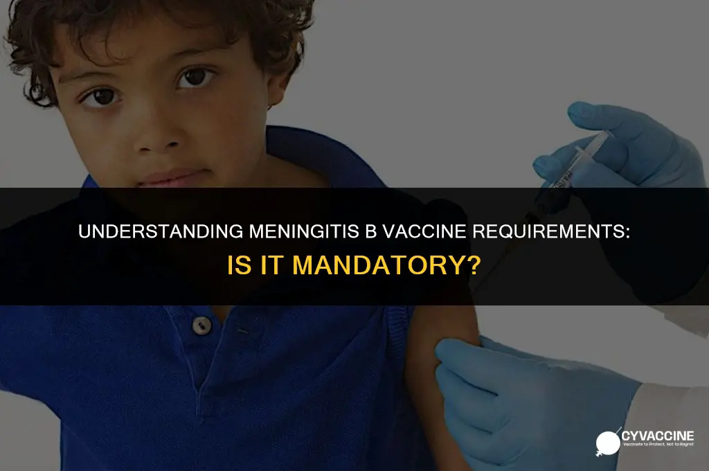 is the meningitis b vaccine mandatory