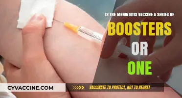 Understanding Meningitis Vaccines: Single Dose or Booster Series?