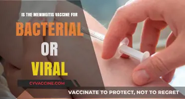 Understanding Meningitis Vaccines: Bacterial vs. Viral Protection Explained