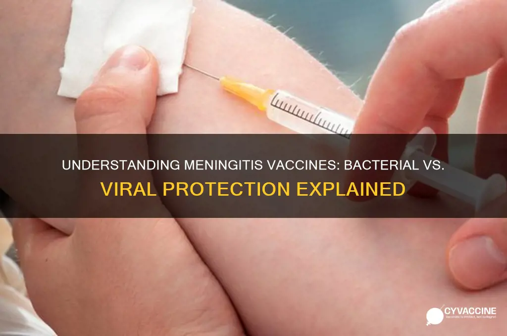 is the meningitis vaccine for bacterial or viral