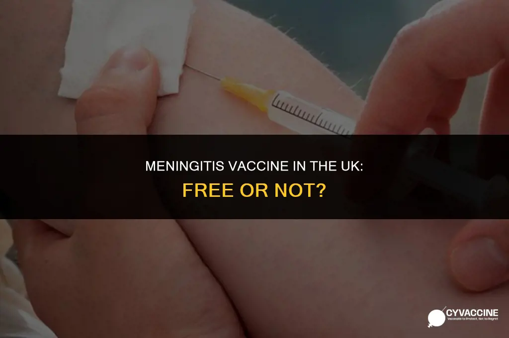is the meningitis vaccine free uk