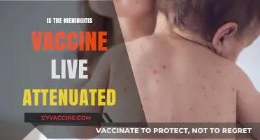 Understanding Meningitis Vaccines: Live Attenuated or Not?