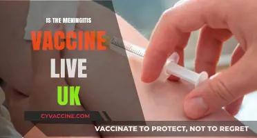 Understanding Meningitis Vaccines in the UK: Are They Live?