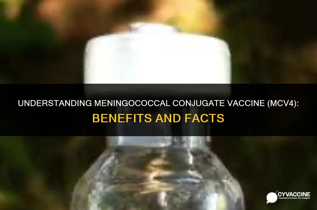 is the meningococcal conjugate vaccine mcv4