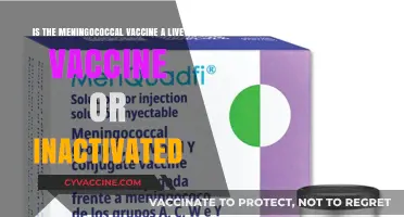 Meningococcal Vaccine: Live or Inactivated? Understanding the Difference