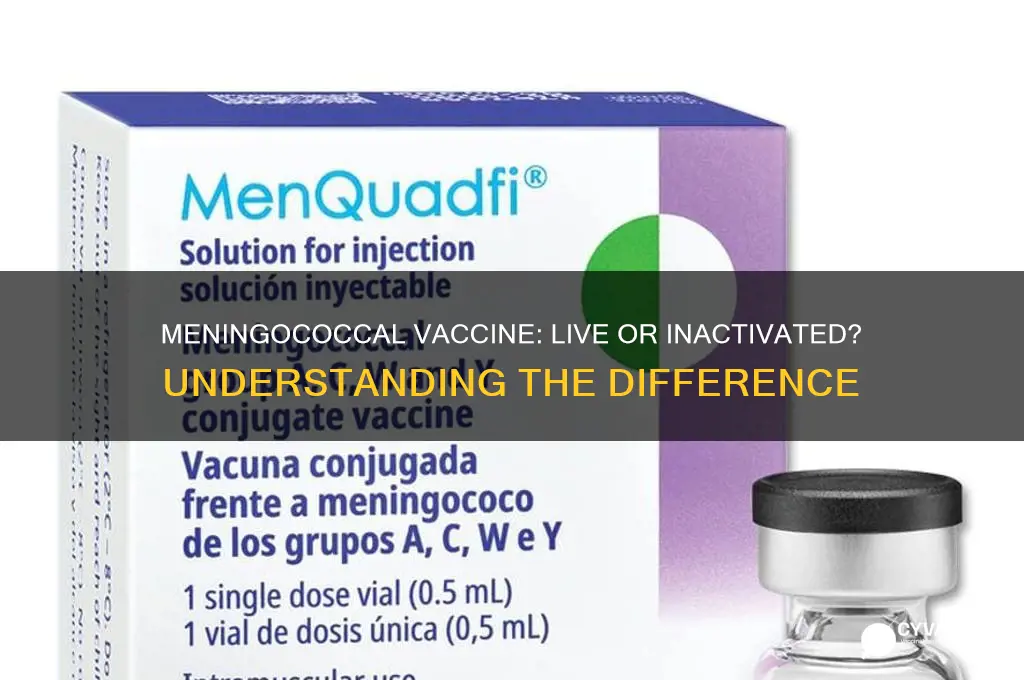 is the meningococcal vaccine a live vaccine or inactivated