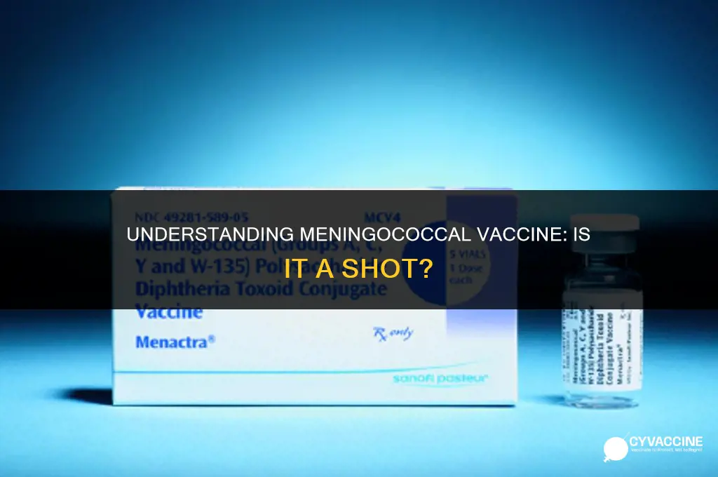 is the meningococcal vaccine a shot