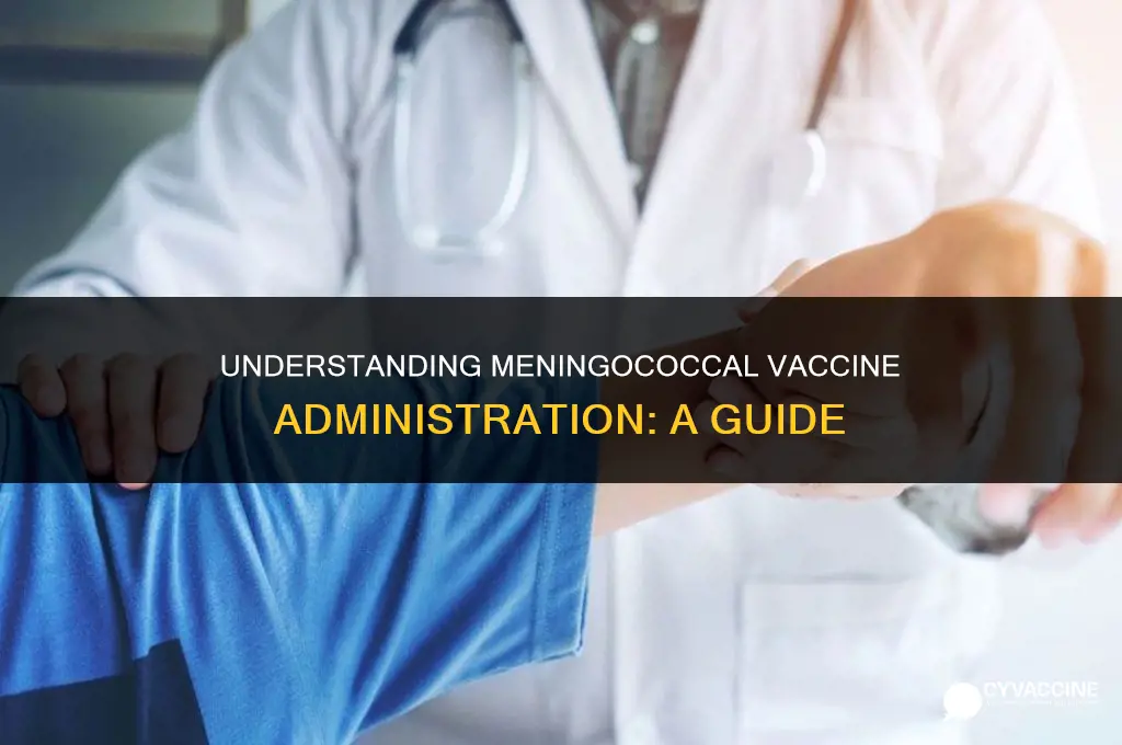 is the meningococcal vaccine in arm