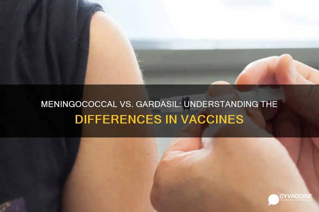 is the meningococcal vaccine the same as gardasil