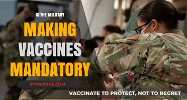 Military Vaccine Mandate: Fact-Checking the Rumors and Policies