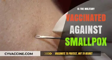 Military Smallpox Vaccination: Historical Facts and Current Status