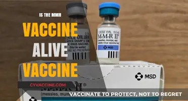 Unraveling the Mystery: Is the MMR Vaccine an Attenuated Vaccine?
