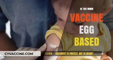 Unraveling the Facts: Is the MMR Vaccine Egg-Based?