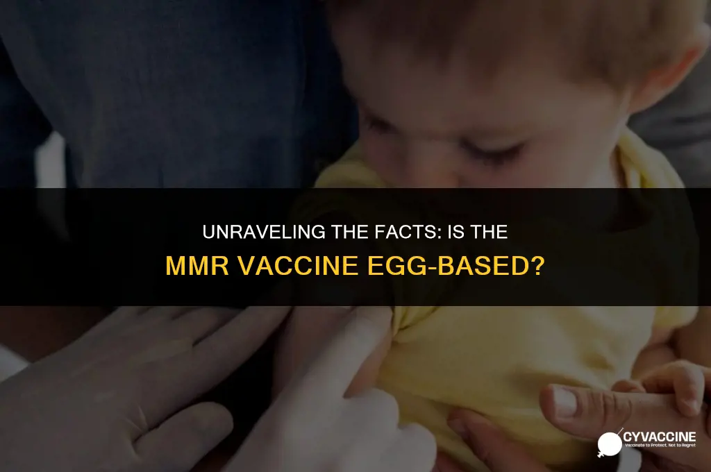 is the mmr vaccine egg based