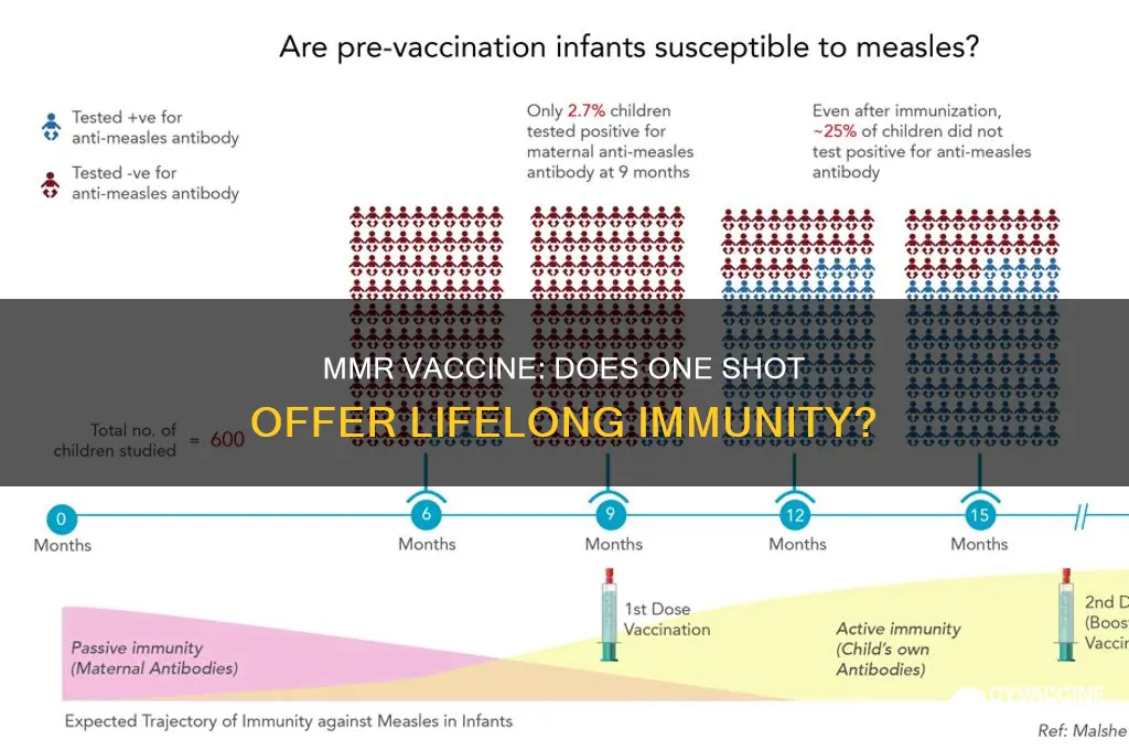 is the mmr vaccine good for a lifetime
