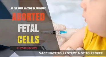 Denmark's MMR Vaccine: Debunking Aborted Fetal Cells Myth