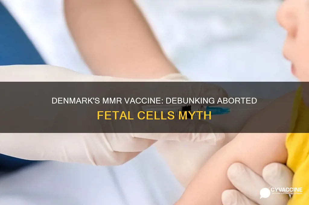 is the mmr vaccine in denmark aborted fetal cells