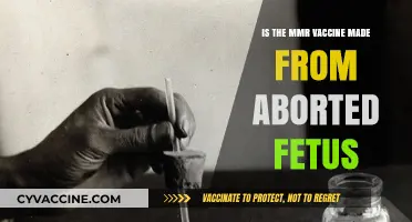 MMR Vaccine and Aborted Fetus: Separating Fact from Fiction