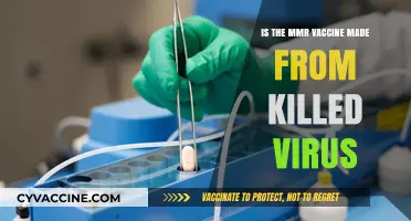 Is the MMR Vaccine Made from Killed Virus? Facts Explained