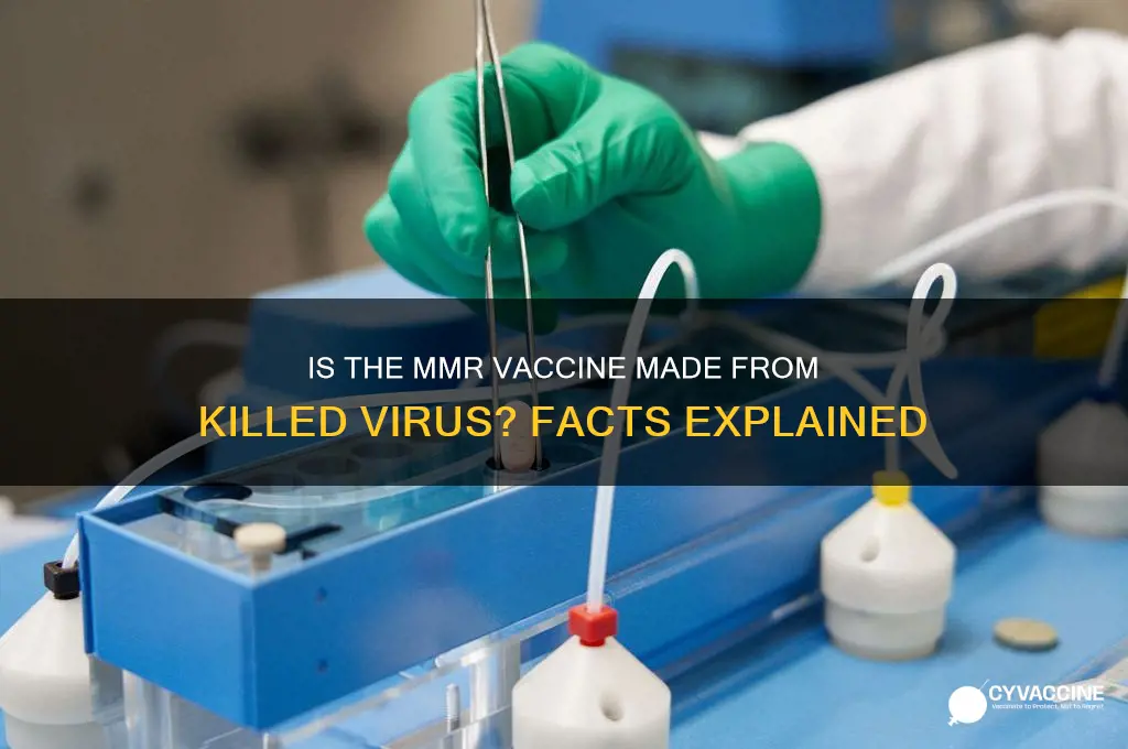 is the mmr vaccine made from killed virus