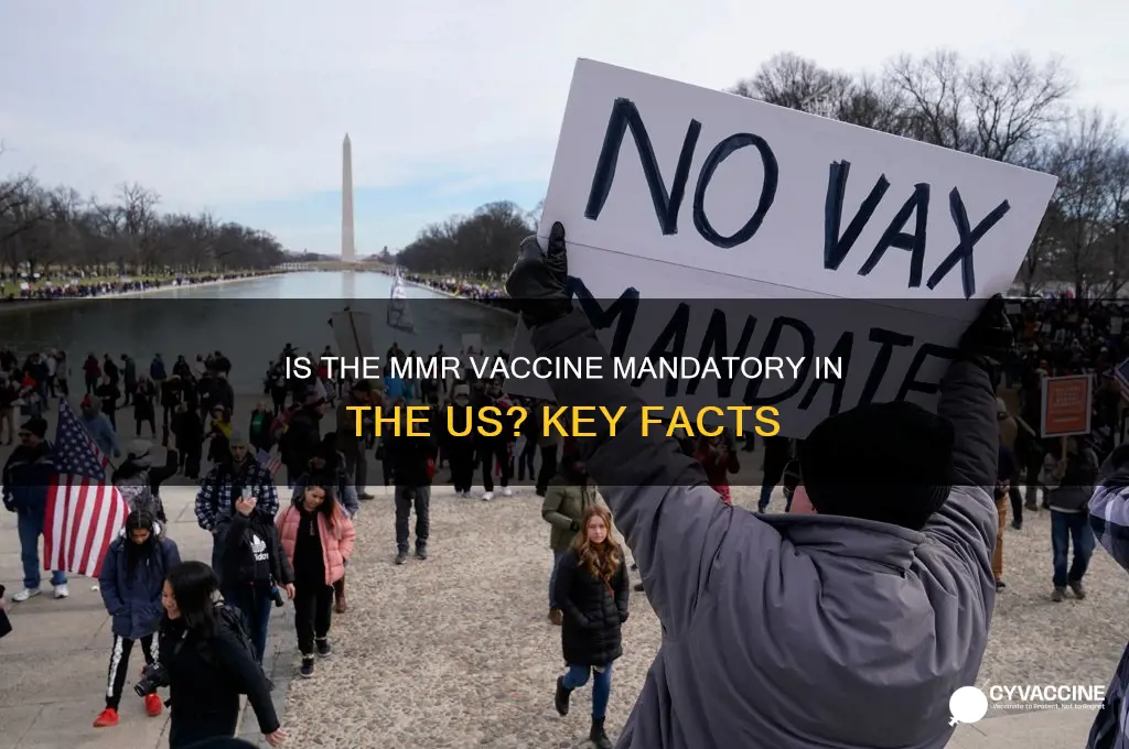 is the mmr vaccine mandatory in the us
