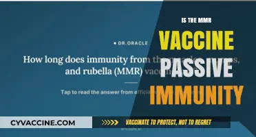 Exploring the MMR Vaccine: Does It Provide Passive Immunity?