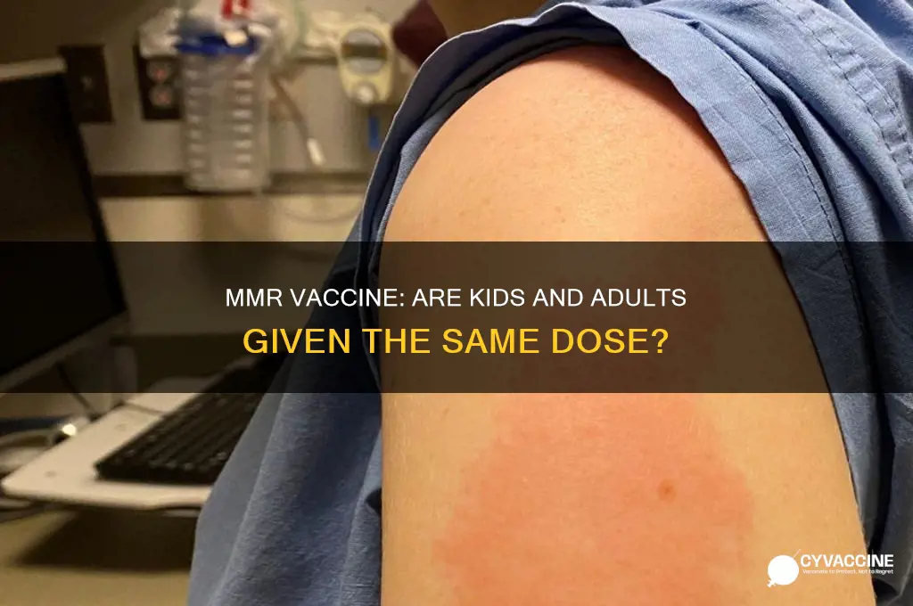 is the mmr vaccine the same for kids and adults