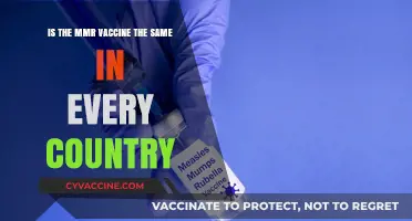 MMR Vaccine Variations: Are Global Formulations Universally Identical?
