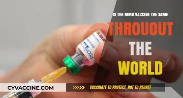 Global MMR Vaccine Variations: Are They Universally Standardized?