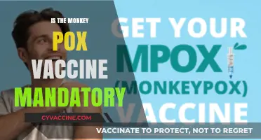 Should You Get the Monkeypox Vaccine? What You Need to Know