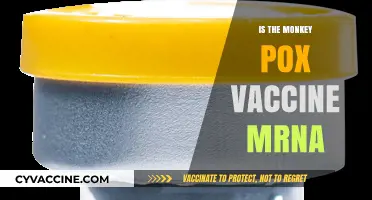 Decoding the Monkeypox Vaccine: mRNA Technology Explained