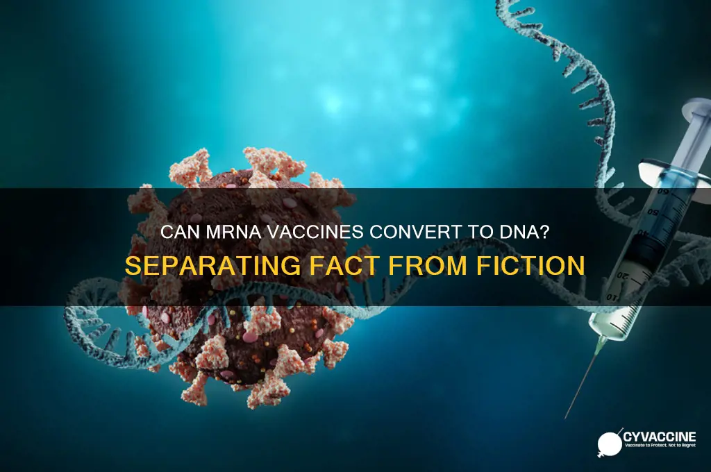 is the mrna in vaccine converted to dna