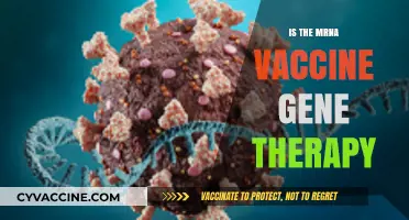 Exploring the mRNA Vaccine: Gene Therapy or Not?