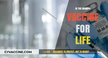 Lifelong Immunity: The Truth About the Mumps Vaccine