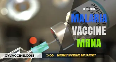 Revolutionizing Malaria Prevention: The Promise of mRNA Vaccines