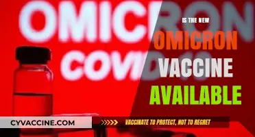 New Omicron Vaccine Rollout: What You Need to Know Now
