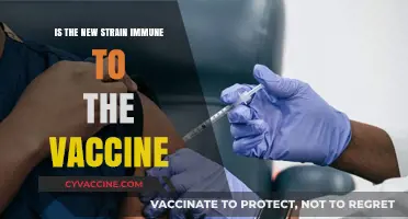 New Strain Concerns: Vaccine Immunity or Breakthrough Risk?