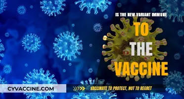 New Variant Concerns: Vaccine Immunity and What You Need to Know