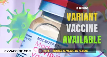 New Variant Vaccine Rollout: What You Need to Know Now