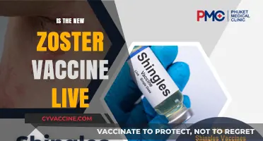 Exploring the Zoster Vaccine: Live or Inactivated?