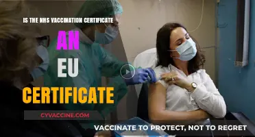 Is the NHS Vaccination Certificate Valid as an EU Certificate?
