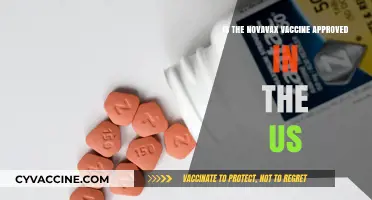 Novavax Vaccine Approval in the US: What You Need to Know